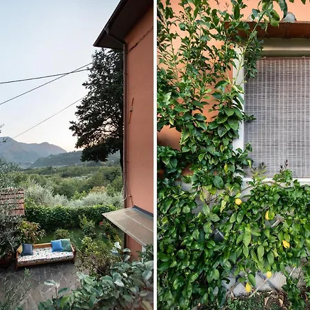 Casetta Di Butia, Iris Διαμέρισμα