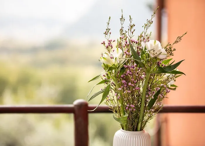 アパート Casetta Di Butia, Iris ルッカ