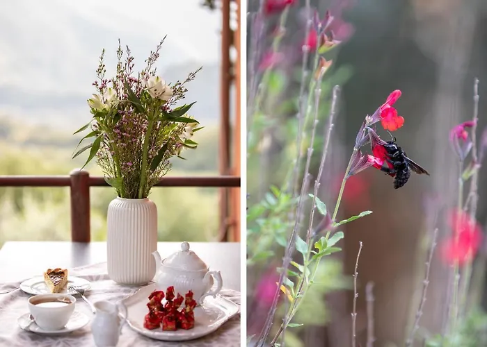 Casetta Di Butia, Iris