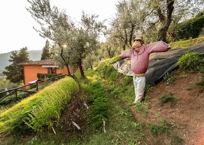 Διαμέρισμα Casetta Di Butia, Iris *